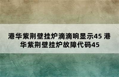 港华紫荆壁挂炉滴滴响显示45 港华紫荆壁挂炉故障代码45